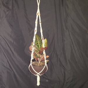 Macrame Plant Hanger